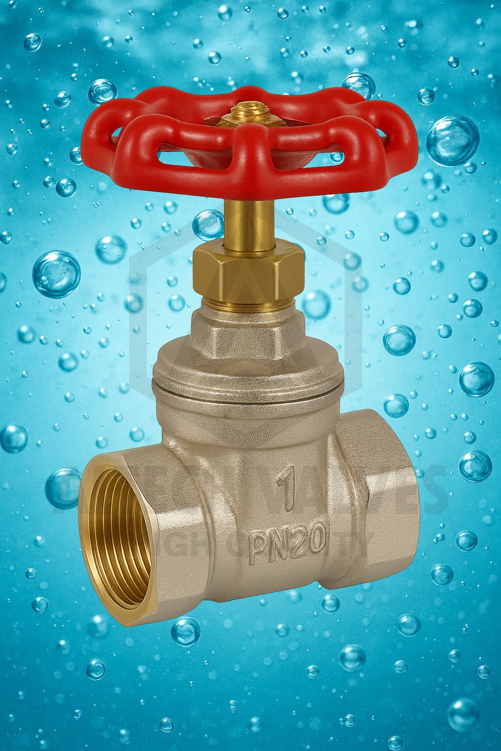 brass gate valve