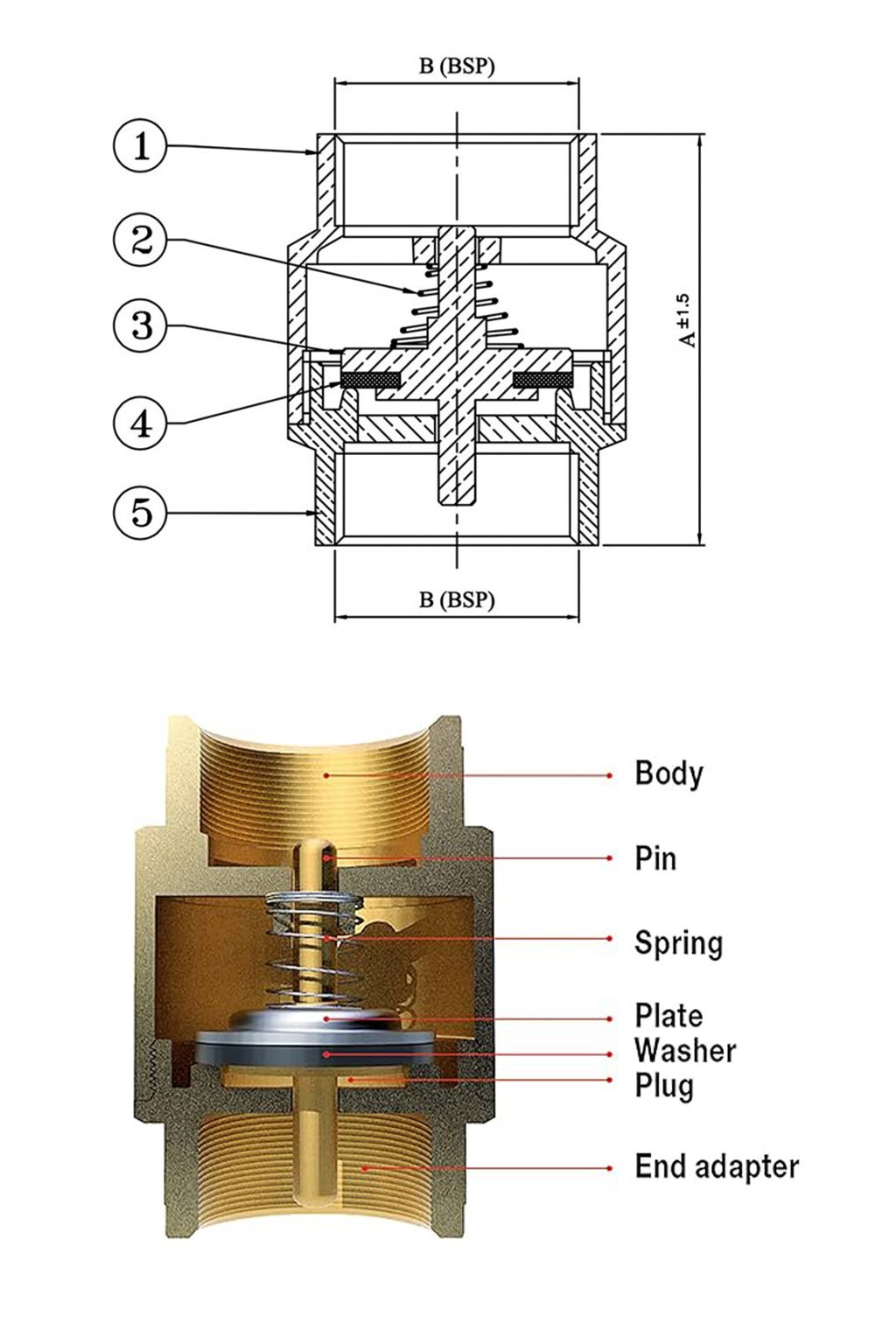 brass spring check valve